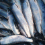 1e00c0db-ef32-456b-8501-4782b6e557a1.jpg - Корсаковский городской округ