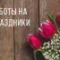 КОРСАКОВСКАЯ ЦЕНТРАЛЬНАЯ РАЙОННАЯ БОЛЬНИЦА - Центральная районная больница