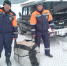 WhatsApp Image 2024-01-25 at 18.44.08 (1).jpeg - Корсаковский городской округ