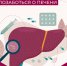 Печень — Ваш ценный орган! Защитите ее с помощью профилактики заболеваний печени! 🍎 - Центральная районная больница