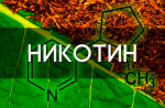 Никотинсодержащая продукция: что нужно знать