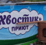 Как решают в Корсакове проблему бездомных собак? - Газета Восход